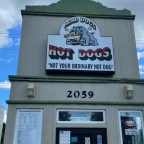 No Gators, Just Dogs (Florida pt. 1)