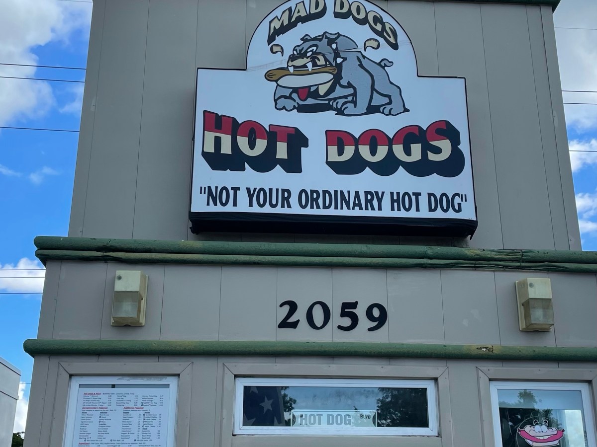 No Gators, Just Dogs (Florida pt. 1)